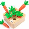 Baby & Toddler AOJOYS | Aojoys Montessori Toys Baby Easter Toys For Toddlers 1-3 Years Old, Educational Wooden Carrot Toys Shape Size Sorting Matching Puzzle, Great Baby Easter Gifts Birthday Gift Toys