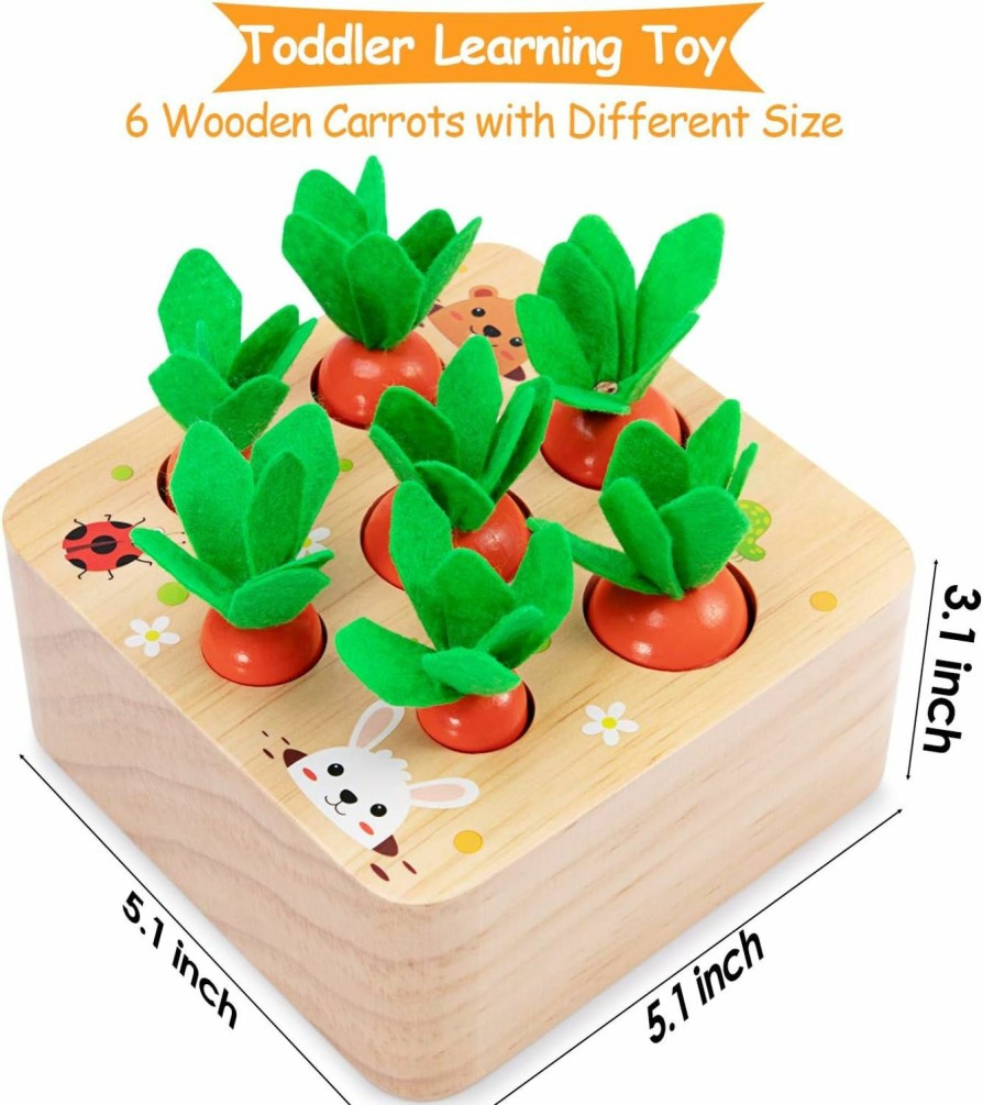 Baby & Toddler AOJOYS | Aojoys Montessori Toys Baby Easter Toys For Toddlers 1-3 Years Old, Educational Wooden Carrot Toys Shape Size Sorting Matching Puzzle, Great Baby Easter Gifts Birthday Gift Toys