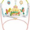 Baby & Toddler Fisher-Price | Fisher-Price Baby Bouncer Activity Center Blooming Fun Jumperoo With Music Lights And Developmental Toys For Infants