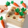 Baby & Toddler Goryeo Baby | Goryeo Baby Montessori Toys For Babiespreschool Learning Months, Splicing Building Blocks, Educational Carrot Vegetable Harvest Toy For Toddlers, Size Shape Sorting Matching Puzzle