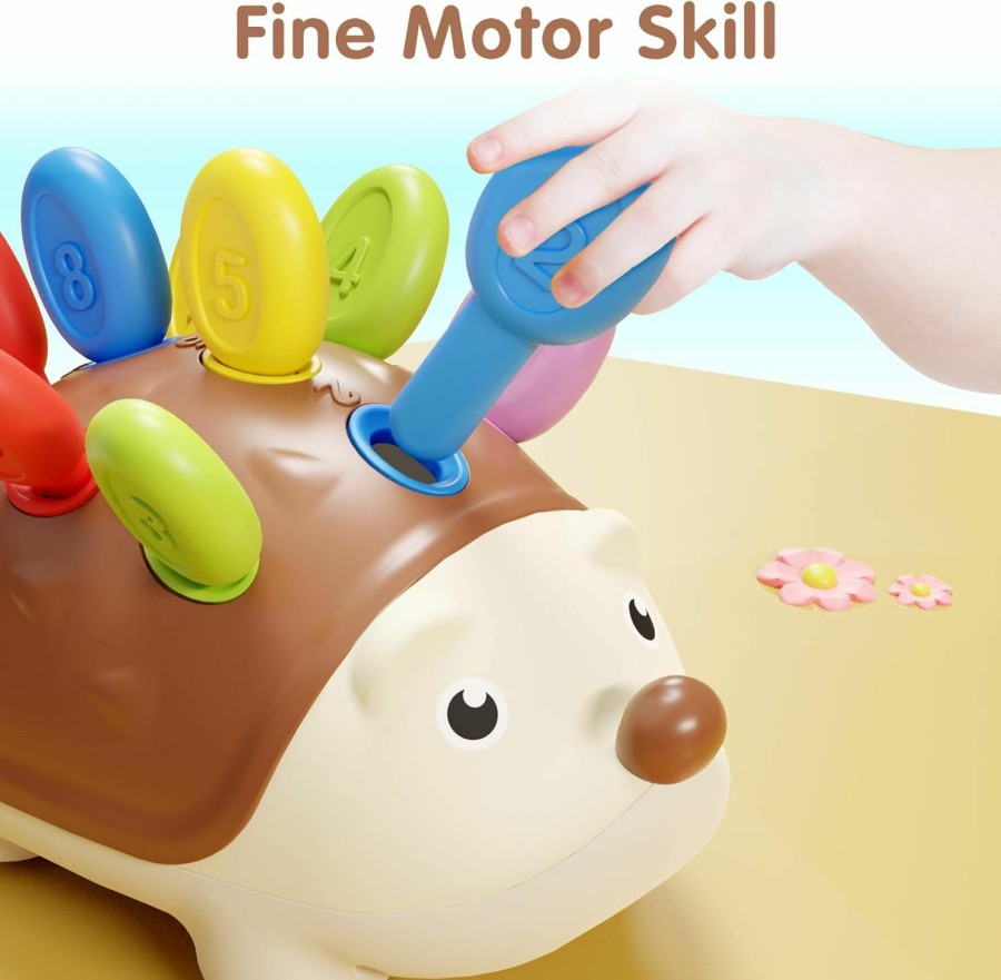 Baby & Toddler iPlay, iLearn | Iplay, Ilearn Fine Motor Toys For Toddlers 1-3, Hedgehog Learning Counting & Sorter Montessori Educational Toy, Development Sensory Easter Gifts For 6 9 12 18 Month Baby, 1 2 3 Year Olds Boy Girl Kids