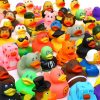 Baby & Toddler WQTHE | Wqthe 30 Pack Rubber Duck For Jeeps Ducking - 2\" Bulk Floater Duck For Kids - Baby Bath Toy Assortment - Party Favors, Birthdays, Bath Time, And More (30 Varieties)